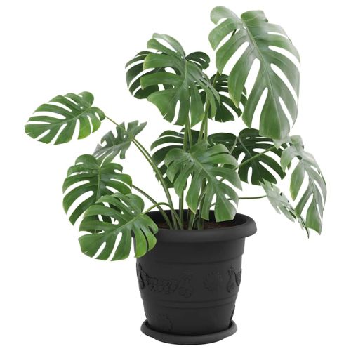 Кръгъл поднос за цветя 6 pcs Черно Ø 14 x 2 см Пластмаса