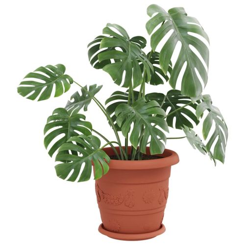 Кръгъл поднос за цветя 24 pcs Червено тухла Ø 21,5 x 2,5 см