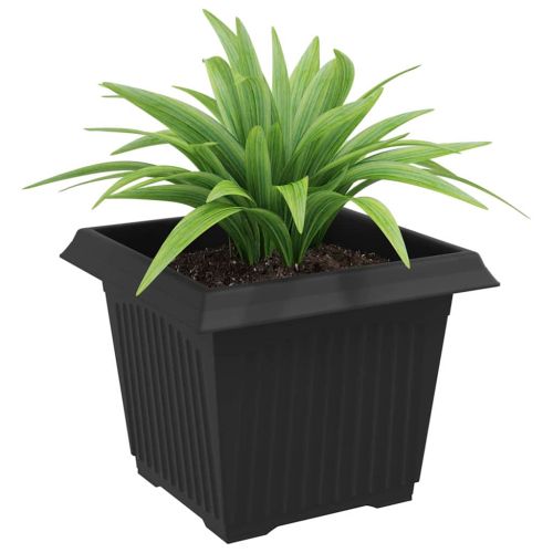 Квадратна цветна саксия 6 pcs Черно 23 x 23 x 17,5 см Пластмаса