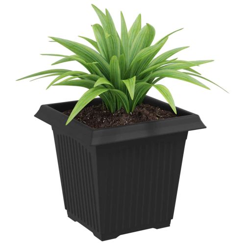 Квадратна цветна саксия 24 pcs Черно 16 x 16 x 14 см Пластмаса