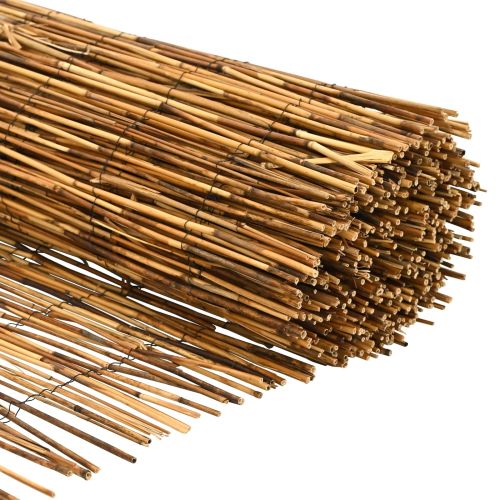 Градска ограда Въглен 600 x 80 cm Тръстика