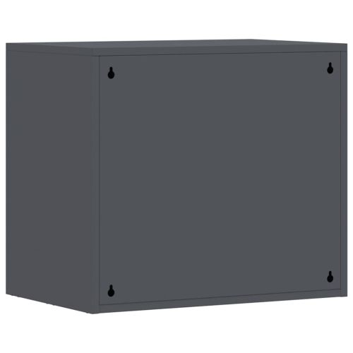 Стенен шкаф за гараж Антрацит 60 x 40 x 53 см