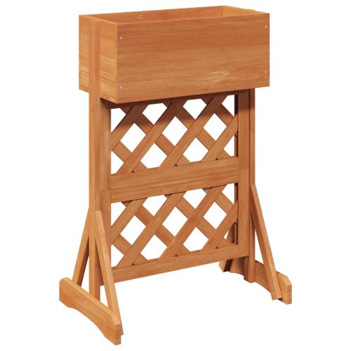 Вертикална градинска решетката Оранжево 48 x 30 x 70,5 см