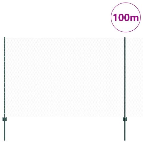 Шестоъградно ограждение с кол 100 x 1,5 м Зелено Мрежа