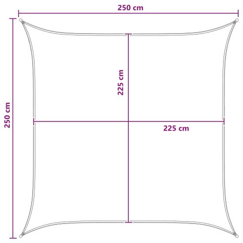 Слънцезащитен плат 2,5 x 2,5 m HDPE Квадратна Синьо и бяло