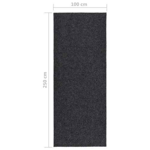 Абсорбиращо мръсотията килимче, 100x250 см, антрацит