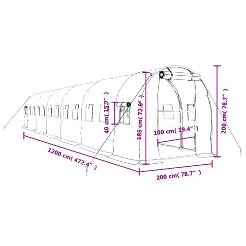 Оранжерия със стоманена рамка зелена 24 м² 12x2x2 м