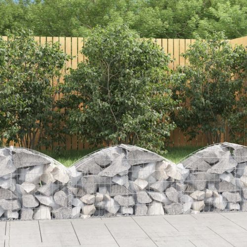Дъговидна габионна кошница 100x30x40/60 см поцинковано желязо