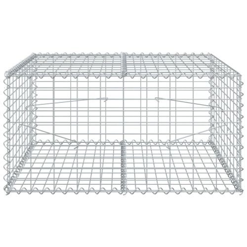 Габионна кошница с покритие, 100x100x50 см, поцинковано желязо