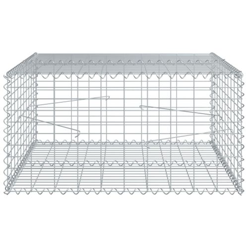 Габионна кошница с покритие, 100x100x50 см, поцинковано желязо