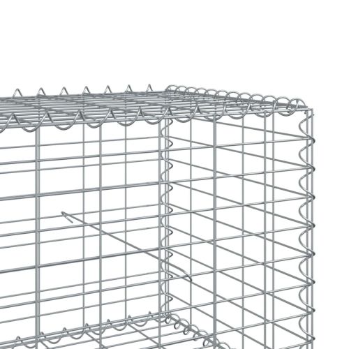 Габионна кошница с покритие, 900x100x50 см, поцинковано желязо