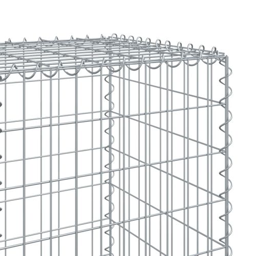Габионна кошница с покритие, 300x50x150 см, поцинковано желязо