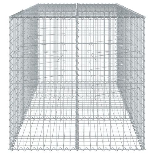Габионна кошница с покритие, 300x100x100 см, поцинковано желязо