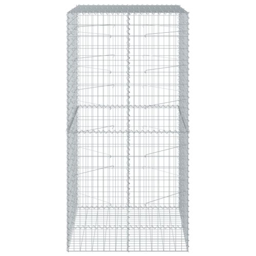 Габионна кошница с покритие, 100x100x200 см, поцинковано желязо