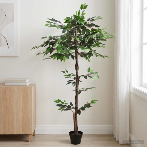 Изкуствено фикус растение Зелено 85 x 18 x 160 см