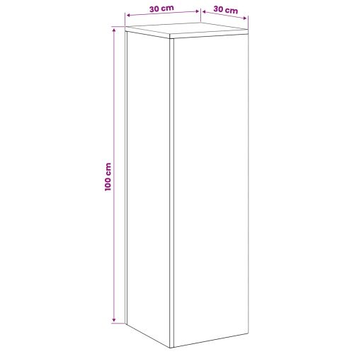 Стойка за растения 2 pcs Черно 30 x 30 x 100 см Стомана