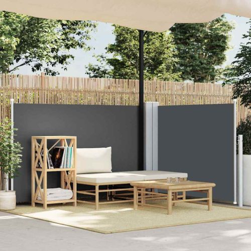 Прибираща се странична тента, антрацит, 120x600 см