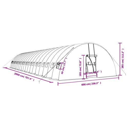 Оранжерия със стоманена рамка бяла 120 м² 20x6x2,85 м