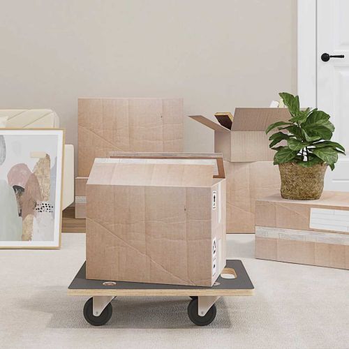 Транспортни колички 2 бр правоъгълни 50x35x11,5 см 250 кг
