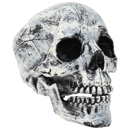 Череп за Хелоуин SPOOKA 2 бр. Бяло 12 x 15 x 17,5 см Пластмаса