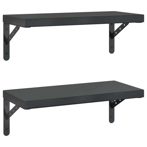 Стенни рафтове 2 бр 50x23,5 см черни неръждаема стомана