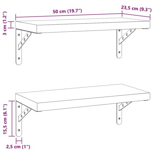 Стенни рафтове 2 бр 50x23,5 см черни неръждаема стомана