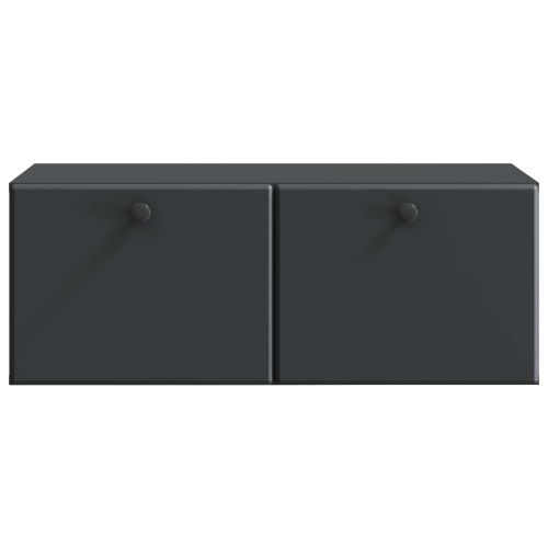 Стенно монтиран ТВ шкаф 78,5 x 41 x 30 см Черно