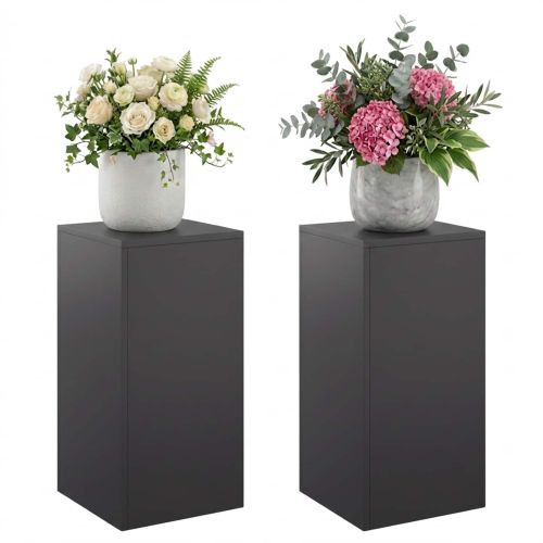 Стойка за растения 2 pcs Черно 30 x 30 x 60 cm Стомана