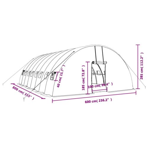Оранжерия със стоманена рамка бяла 48 м² 8x6x2,85 м