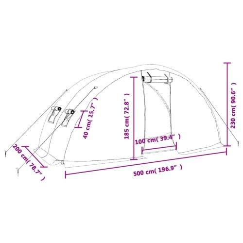 Оранжерия със стоманена рамка бяла 10 м² 5x2x2,3 м