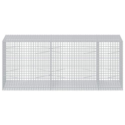 Габион с 5 мм жица и мрежа 5x5 см 250x100x100 см