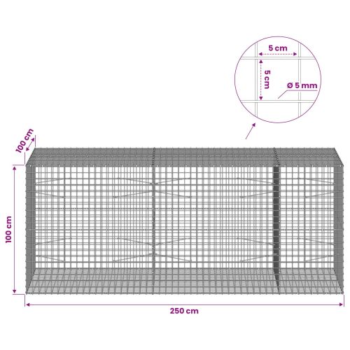 Габион с 5 мм жица и мрежа 5x5 см 250x100x100 см