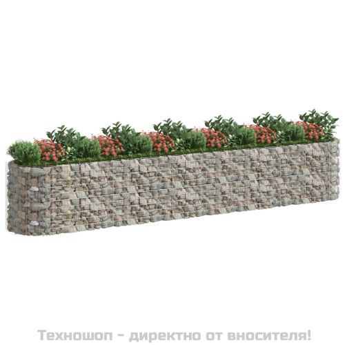 Габион повдигната леха, поцинковано желязо, 600x100x100 cм