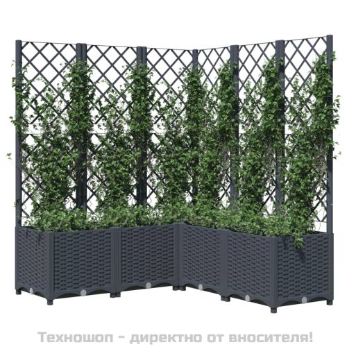 Градински сандък с пергола, синьо сив, 120x120x136 см, PP