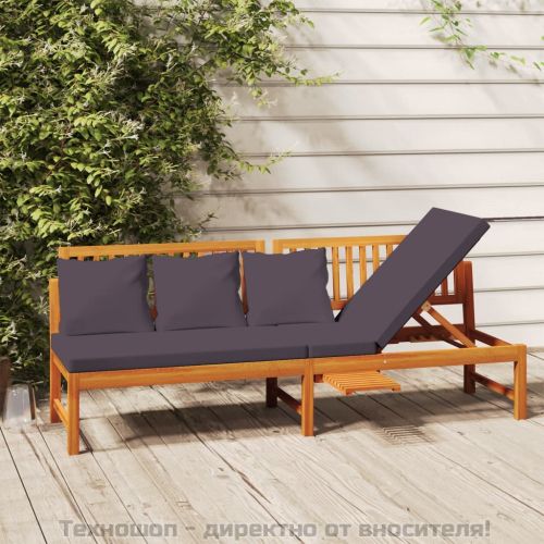 Дневно легло със сиви възглавници 200x60x75 см масивна акация