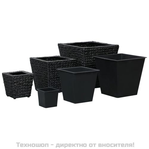 Повдигнати лехи, 3 бр, воден хиацинт, черни