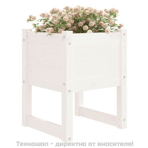 Плантери, 2 бр, бяла, 40x40x52,5 см, борово дърво масив