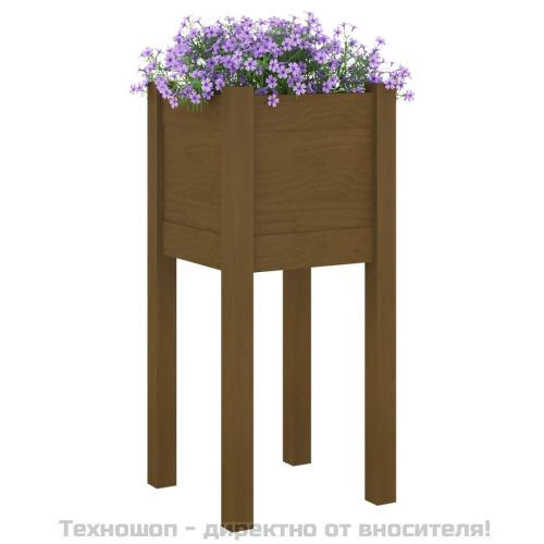 Градински сандъци, 2 бр, меденокафяви, 31x31x70 см, бор масив