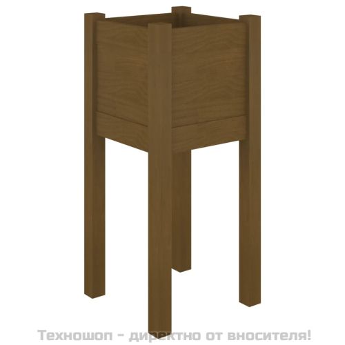 Градински сандъци, 2 бр, меденокафяви, 31x31x70 см, бор масив