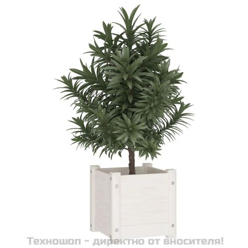 Градински сандък, бял, 31x31x31 см, бор масив