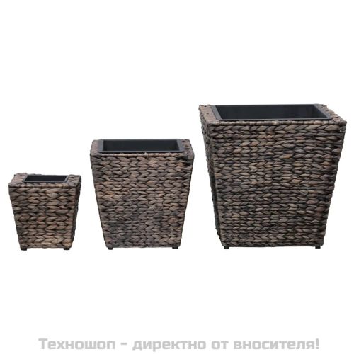Повдигнати лехи, 3 бр, воден хиацинт, кафяви