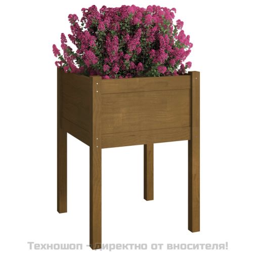 Градински сандъци, 2 бр, меденокафяви, 50x50x70 см, бор масив