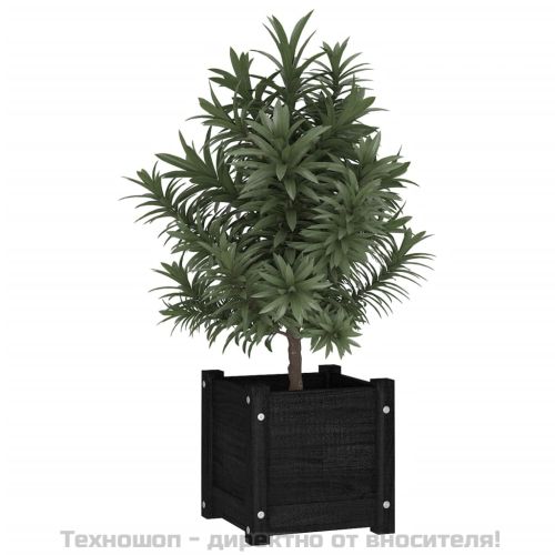 Градински сандък, черен, 31x31x31 см, бор масив