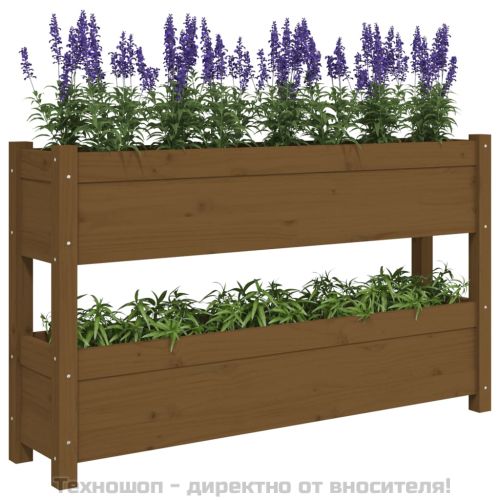 Плантер, меденокафяв, 112x25x66 см, борово дърво масив