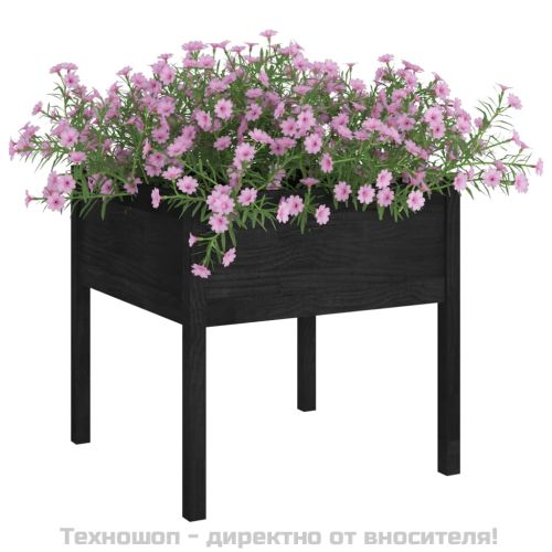 Градински сандъци, 2 бр, черни, 70x70x70 см, бор масив
