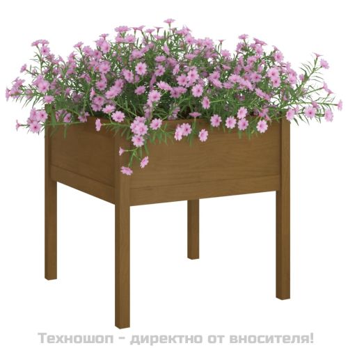 Градински сандък, меденокафяв, 70x70x70 см, бор масив