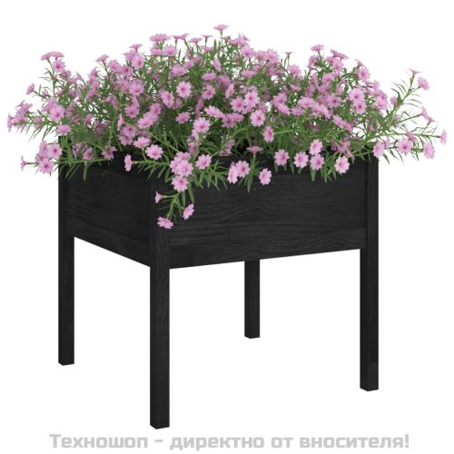 Градински сандък, черен, 70x70x70 см, бор масив