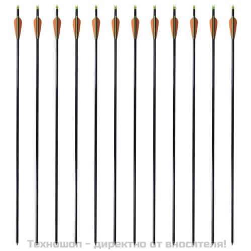 Стандартни стрели за съставен лък 30" 0,8 см, 12 бр, фибростъкло