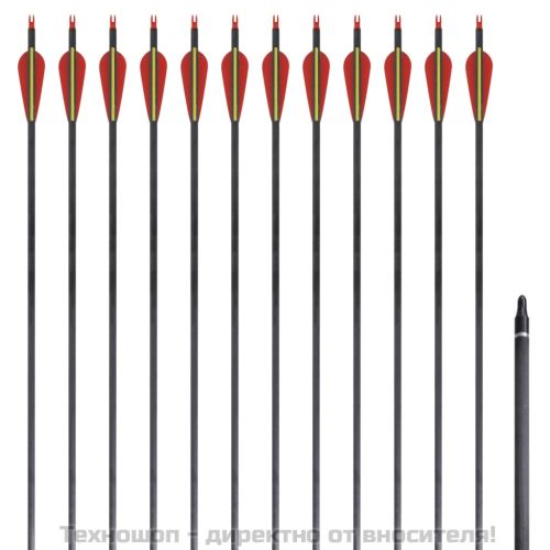 Стандартни стрели за лък 0,76 см карбонови 12 бр.