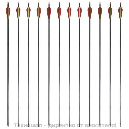 Стандартни стрели за лък 0,76 см карбонови 12 бр.